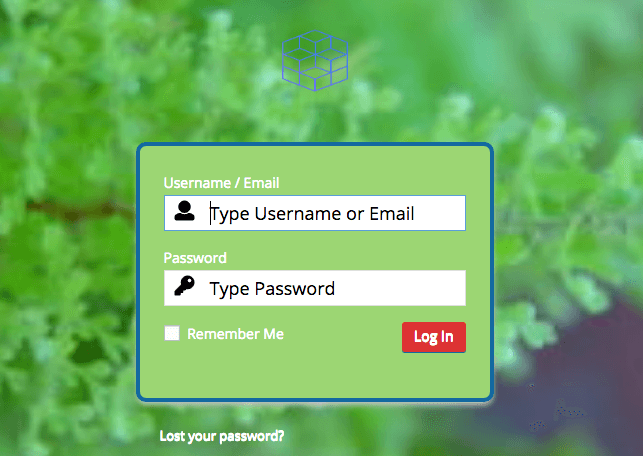 custom login example